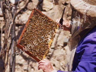Pure Mauritania Honey